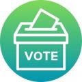 Election Information Icon