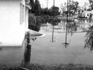 1947 - Hammond Drive in Miami Springs, Florida, after the Flood of 1947 caused by Hurricane VI 