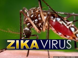Zika Virus and Mosquito Control Information