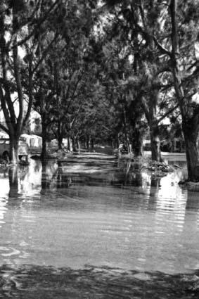 1947 - Miami Springs residential street after the Flood of 1947 caused by Hurricane VI