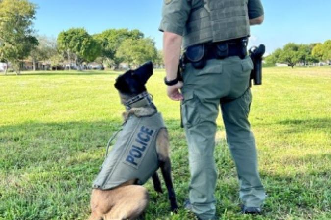 K9 MANDO2